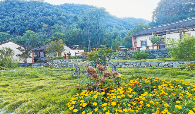 生態(tài)宜居引客來 返鄉(xiāng)創(chuàng)業(yè)勢頭足