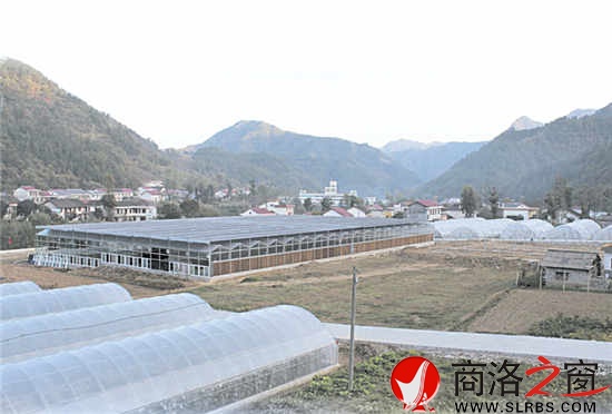 現(xiàn)代農(nóng)業(yè)園區(qū)，農(nóng)民抱團(tuán)闖市場(chǎng)的基地。