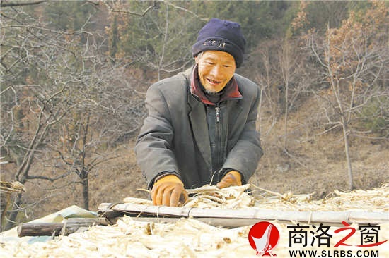 天氣暖和了，何長(zhǎng)財(cái)一邊曬太陽(yáng)，一邊收拾挖回來(lái)的藥材。