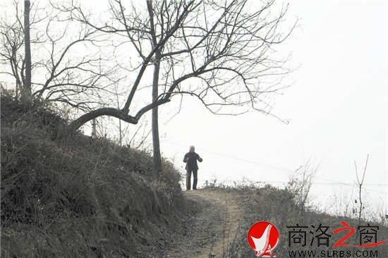 我們離開時(shí)，吳桂香送出很遠(yuǎn)。我們已經(jīng)走遠(yuǎn)，山梁上那孤獨(dú)的身影久久不肯離去。