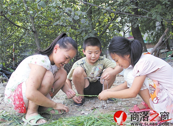 黃沙嶺腳下，胡昊和小伙伴們正在給一只小鳥用草編籠子。